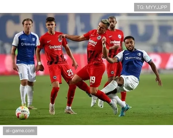 荷甲主场战火重燃,球迷热情助球队强势崛起 荷甲主场战火重燃,球迷热情助球队强势崛起