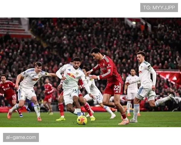 德泽尔比率布莱顿迎战英超劲旅，力争延续连胜势头