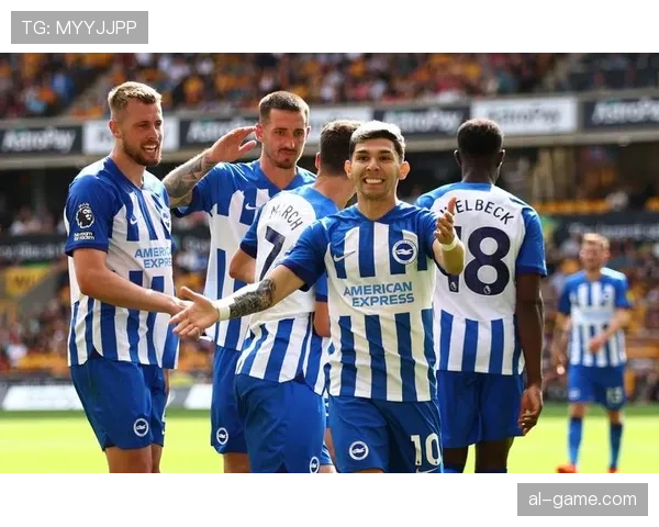 英超火热布莱顿 英超火热布莱顿